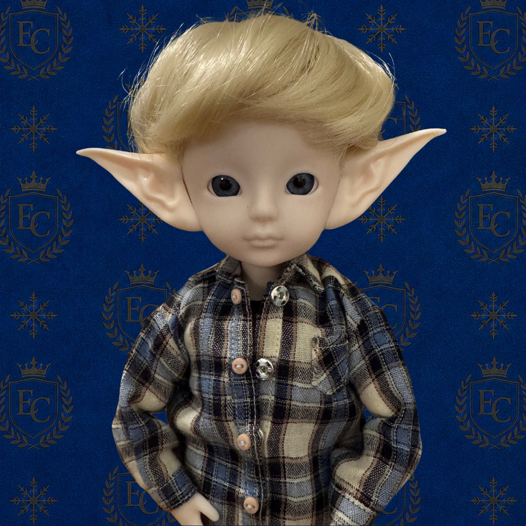 Caleb - 🌍 Elf Council Human Ambassador - 🟢 Officially Registered