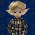 Caleb - 🌍 Elf Council Human Ambassador - 🟢 Officially Registered