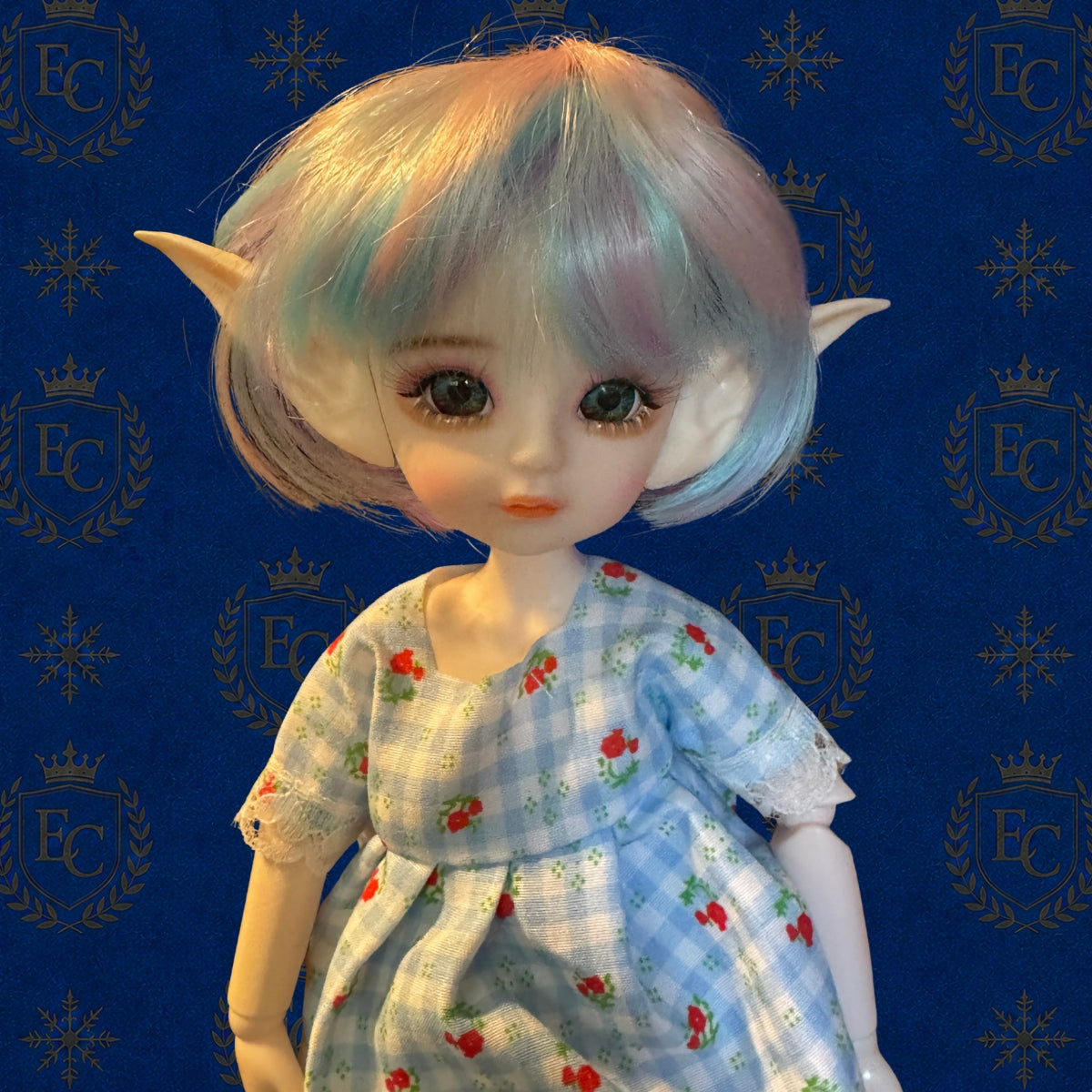 Eloise - 🌍 Elf Council Human Ambassador - 🟢 Officially Registered