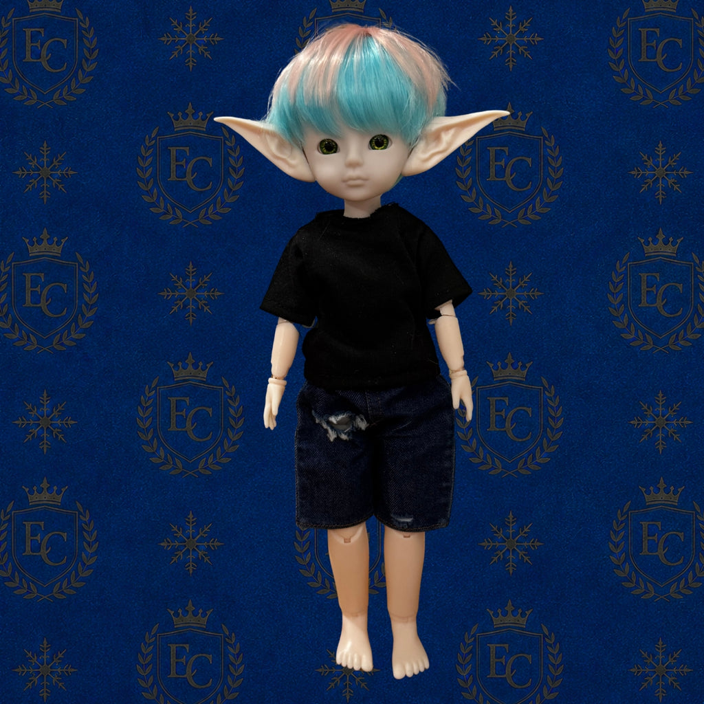 Elliott - 🌍 Elf Council Human Ambassador - 🟢 Officially Registered