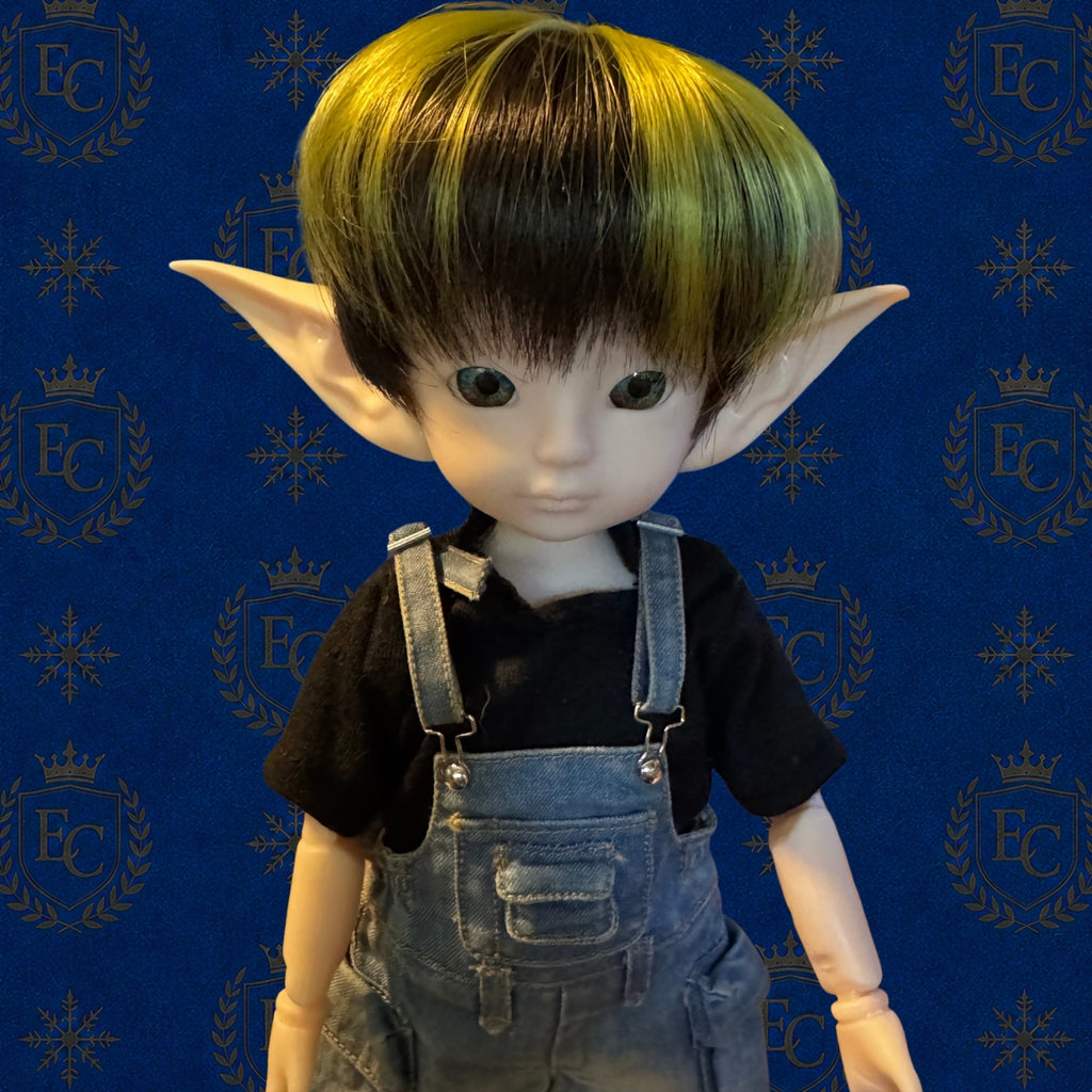Finn - 🌍 Elf Council Human Ambassador - 🟢 Officially Registered (Copy)