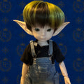 Finn - 🌍 Elf Council Human Ambassador - 🟢 Officially Registered (Copy)