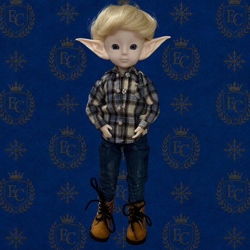 Caleb - 🌍 Elf Council Human Ambassador - 🟢 Officially Registered