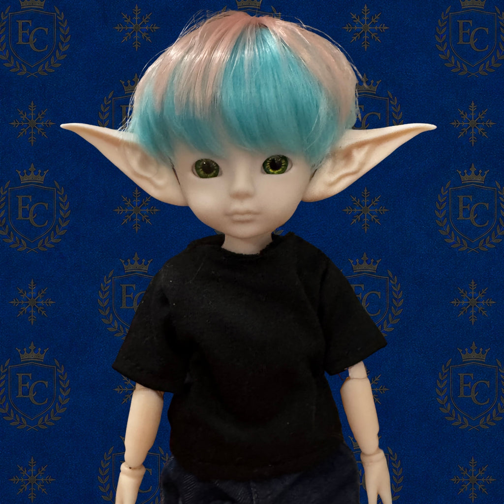 Elliott - 🌍 Elf Council Human Ambassador - 🟢 Officially Registered