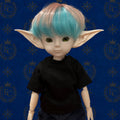 Elliott - 🌍 Elf Council Human Ambassador - 🟢 Officially Registered