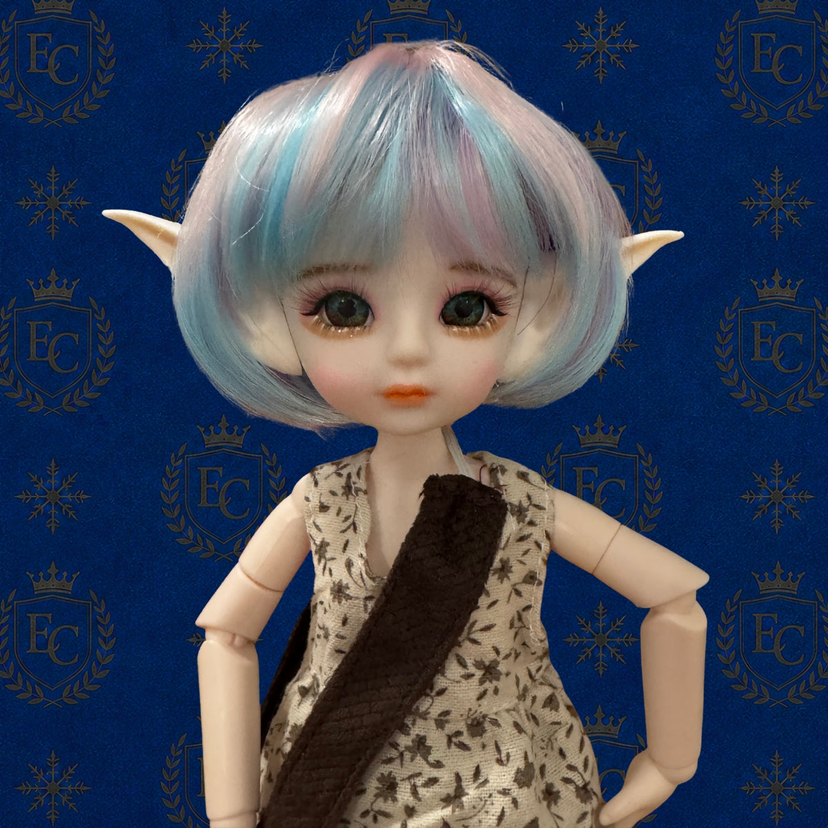 Eloise- 🌍 Elf Council Human Ambassador - 🟢 Officially Registered