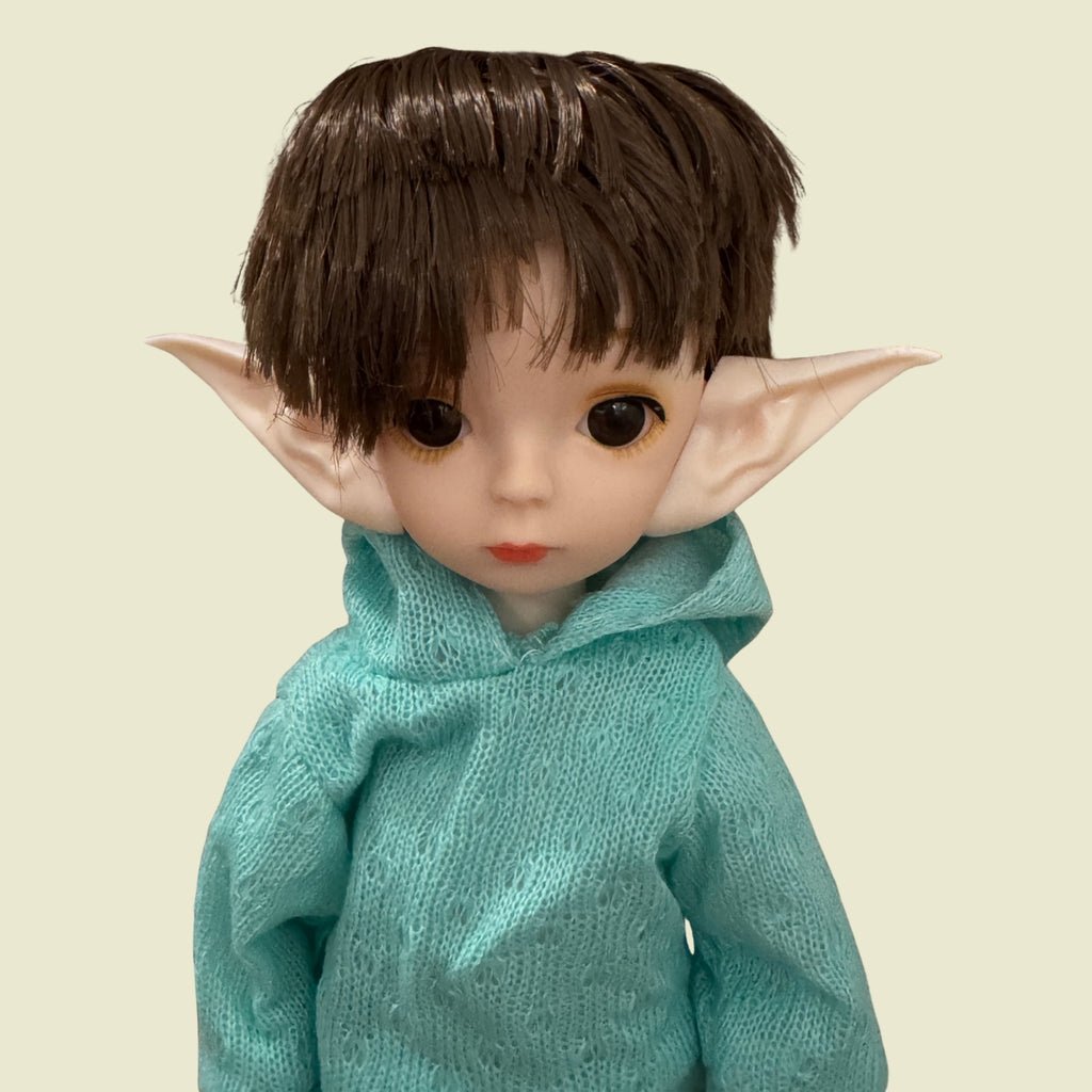 The Gentle Wanderer