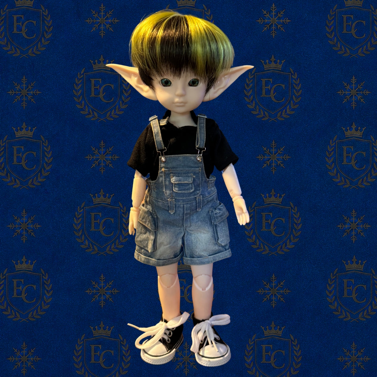 Finn - 🌍 Elf Council Human Ambassador - 🟢 Officially Registered (Copy)