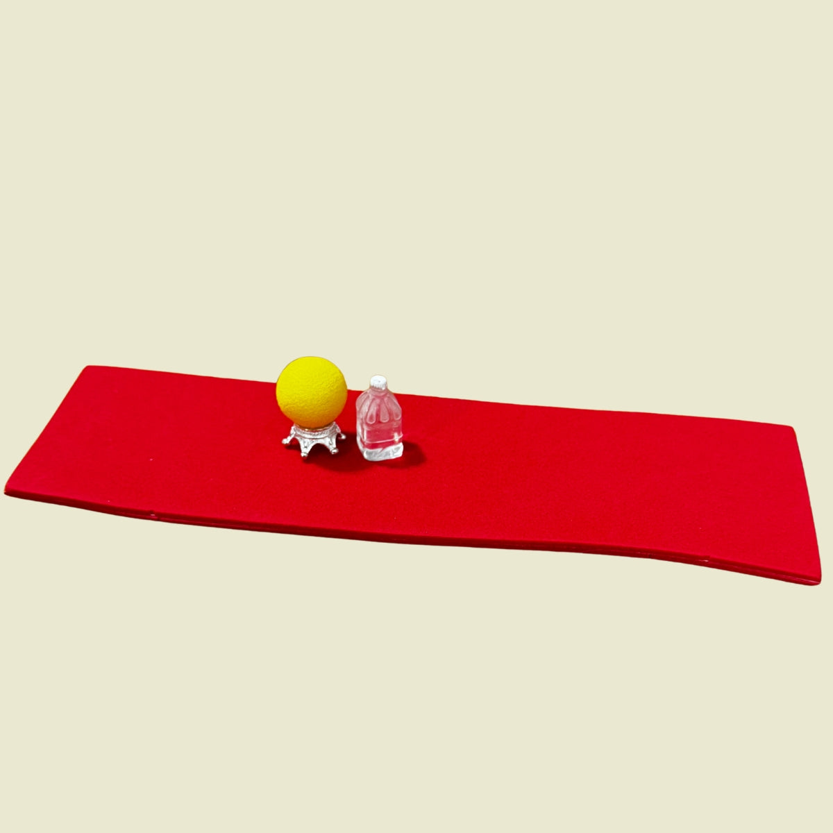 The Mindful Mover