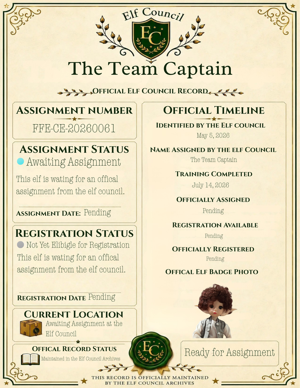 The Team Captain